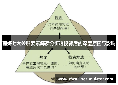 葡媒七大关键要素解读分析透视背后的深层原因与影响