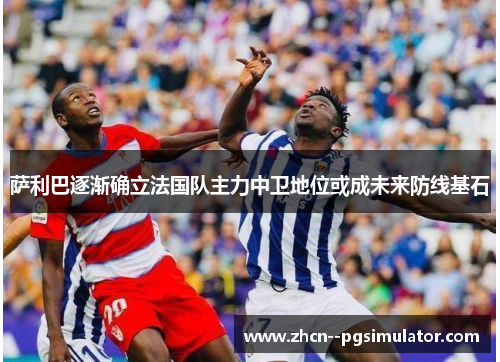 萨利巴逐渐确立法国队主力中卫地位或成未来防线基石 萨利巴逐渐确立法国队主力中卫地位或成未来防线基石