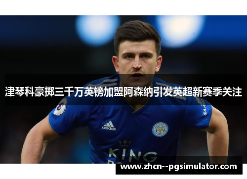 津琴科豪掷三千万英镑加盟阿森纳引发英超新赛季关注 津琴科豪掷三千万英镑加盟阿森纳引发英超新赛季关注