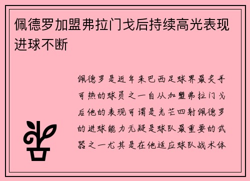 佩德罗加盟弗拉门戈后持续高光表现进球不断 佩德罗加盟弗拉门戈后持续高光表现进球不断